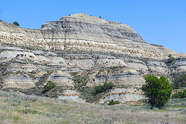 The northern part of the Roosevelt National Park, North Dakota, United States of America, North America 