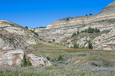 The northern part of the Roosevelt National Park, North Dakota, United States of America, North America 