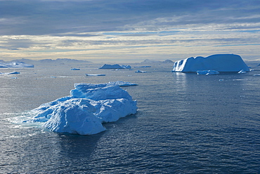 Huge icebergs in Cierva Cove, Antarctica, Polar Regions 