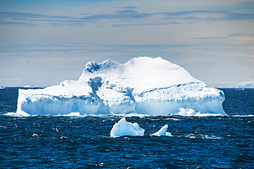 Glacier and icebergs in Cierva Cove, Antarctica, Polar Regions 