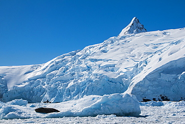 Iceberg, Cierva Cove, Antarctica, Polar Regions 