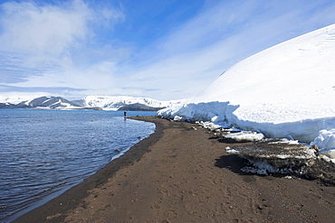 Volcanic beach in front of the glacier ice of Deception Island, South Shetland Islands, Antarctica, Polar Regions 