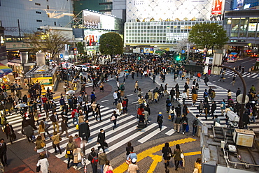 People crossing the busiest street crossing, Shibuya crossing, Tokyo, Japan, Asia