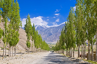 Country road with tree avenue, Wakhan Valley, Tajikistan, Central Asia, Asia