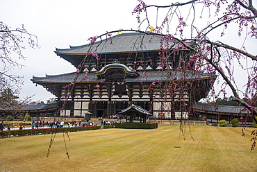 Todaiji Temple, UNESCO World Heritage Site, Nara, Kansai, Japan, Asia