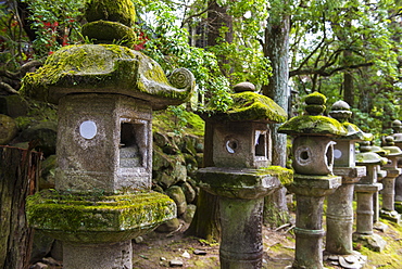 Stone lanterns, Nara, Kansai, Japan, Asia