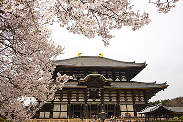 Todaiji Temple, UNESCO World Heritage Site, Nara, Kansai, Japan, Asia