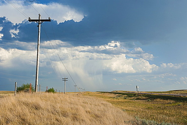 Telephone posts, Wyoming, United States of America, North America