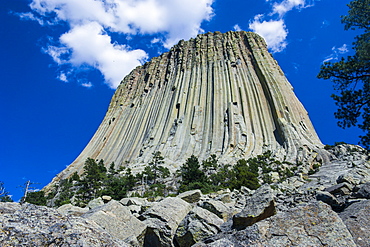 Devils Tower National Monument, Wyoming, United States of America, North America