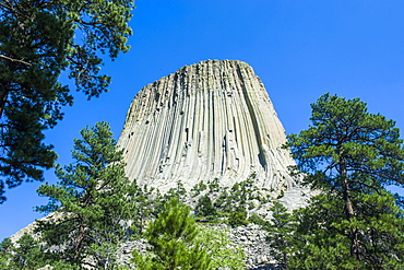 Devils Tower National Monument, Wyoming, United States of America, North America