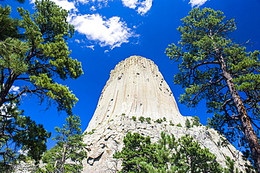 Devils Tower National Monument, Wyoming, United States of America, North America