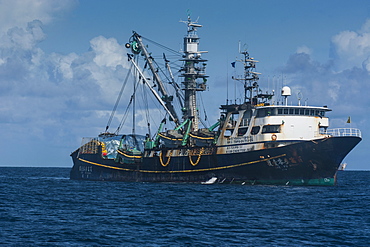 Chinese fishing trawler, Pohnpei (Ponape), Micronesia, Central Pacific, Pacific