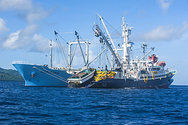 Chinese fishing trawlers, Pohnpei (Ponape), Micronesia, Central Pacific, Pacific