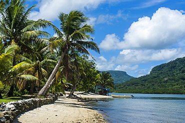 White sand beach with palm trees, Pohnpei (Ponape), Federated States of Micronesia, Caroline Islands, Central Pacific, Pacific 