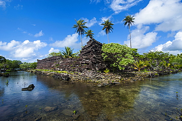 Ruined city of Nan Madol, Pohnpei (Ponape), Federated States of Micronesia, Caroline Islands, Central Pacific, Pacific 