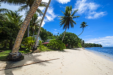 Beautiful white sand beach and palm trees on the island of Yap, Federated States of Micronesia, Caroline Islands, Pacific 