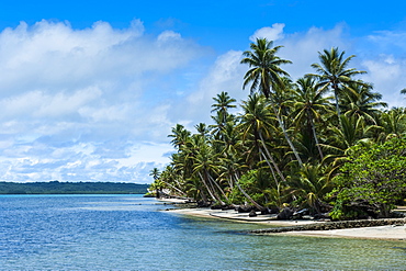 Beautiful white sand beach and palm trees on the island of Yap, Federated States of Micronesia, Caroline Islands, Pacific 