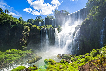 Foz de Iguazu (Iguacu Falls), Iguazu National Park, UNESCO World Heritage Site, Argentina, South America 