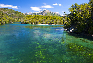 Crystal clear water in the Los Alerces National Park, Chubut, Patagonia, Argentina, South America 