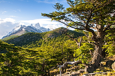 Trek up to Mount Fitzroy from the Unesco world heritage sight El Chalten, Argentina, South America