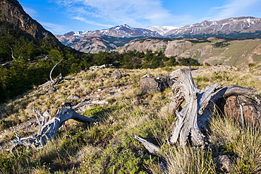 Trek up to Mount Fitzroy from the Unesco world heritage sight El Chalten, Argentina, South America