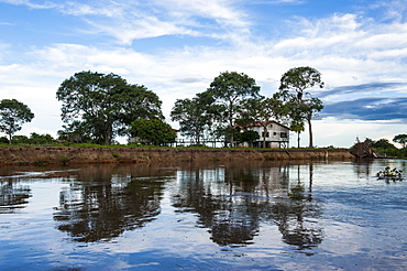 Trees reflecting in the water in a river in the Pantanal Conservation Area, UNESCO World Heritage Site, Brazil, South America 