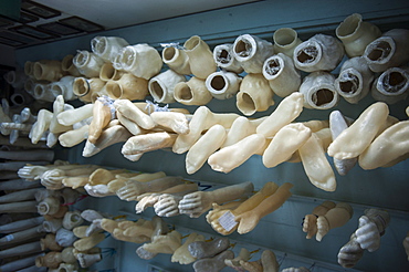 Artificial limbs in a side room of the Nosso Senhor do Bomfim church, Salvador da Bahia, Bahia, Brazil, South America 