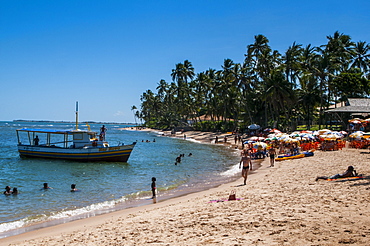 Tropical beach in Praia do Forte, Bahia, Brazil, South America 