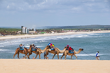 Camel riding in the famous sand dunes of Natal, Rio Grande do Norte, Brazil, South America