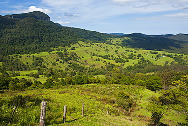 View in the Springbrook National Park, New South Wales, Australia, Pacific