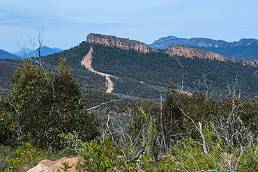 View from the Reeds Lookout over the Grampians National Park, Victoria, Australia, Pacific 