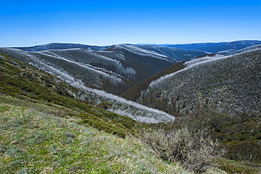 View over the Victorian Alps mountain range, Victoria, Australia, Pacific 