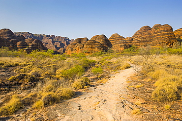 The beehive-like mounds in the Purnululu National Park, UNESCO World Heritage Site, Bungle Bungle Mountain Range, Western Australia, Australia, Pacific