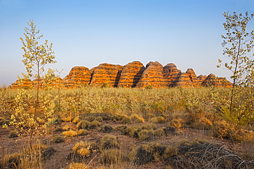 The beehive-like mounds, Purnululu National Park, UNESCO World Heritage Site, Bungle Bungle Mountain Range, Western Australia, Australia, Pacific