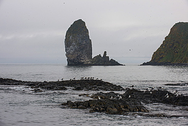 Large monolith in the Avacha bay near Petropavlovsk-Kamchatsky, Kamchatka, Russia, Eurasia 