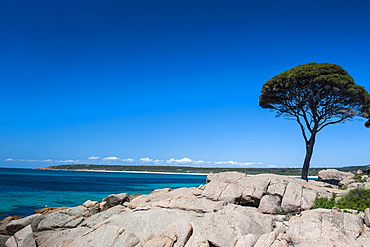 Rocky cliffs on Shelley Cove near Eagle Bay, Western Australia, Australia, Pacific 