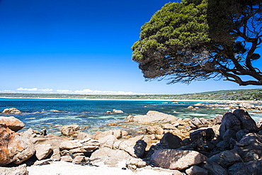 Rocky cliffs on Shelley Cove near Eagle Bay, Western Australia, Australia, Pacific 