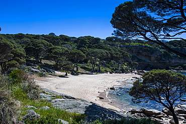 Shelley Cove near Eagle Bay, Western Australia, Australia, Pacific 