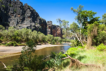 Windjana Gorge, The Kimberleys, Western Australia, Australia, Pacific 