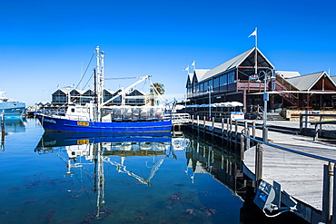 Fishing boat harbour of Fremantle, Western Australia, Australia, Pacific