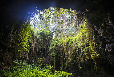 Cave system in the Virunga National Park, Rwanda, Africa