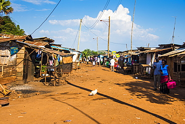 Dusty village on the Nile near Jinja, Uganda, East Africa, Africa