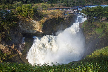 Murchison Falls (Kabarega Falls) on the Nile, Murchison Falls National Park, Uganda, East Africa, Africa