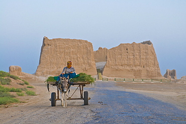 Woman sitting on a donkey cart, Merv, UNESCO World Heritage Site, Turkmenistan, Central Asia, Asia