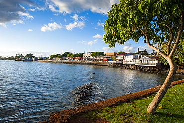 The town of Lahaina, Maui, Hawaii, United States of America, Pacific