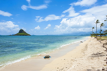 Kualoa Beach, Oahu, Hawaii, United States of America, Pacific 