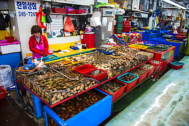 Fish for sale at the modern fish market in Busan, South Korea, Asia