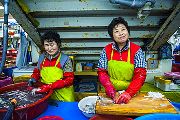 Women selling fish at the modern fish market in Busan, South Korea, Asia