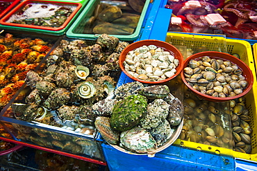 The modern fish market in Busan, South Korea, Asia