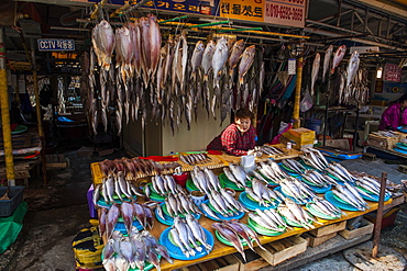 Fish for sale in the fish market of Busan, South Korea, Asia